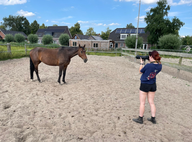Een blackfoto van een paard genaamd Macy met een zwarte achtergrond, het paard kijkt iets naar beneden.
